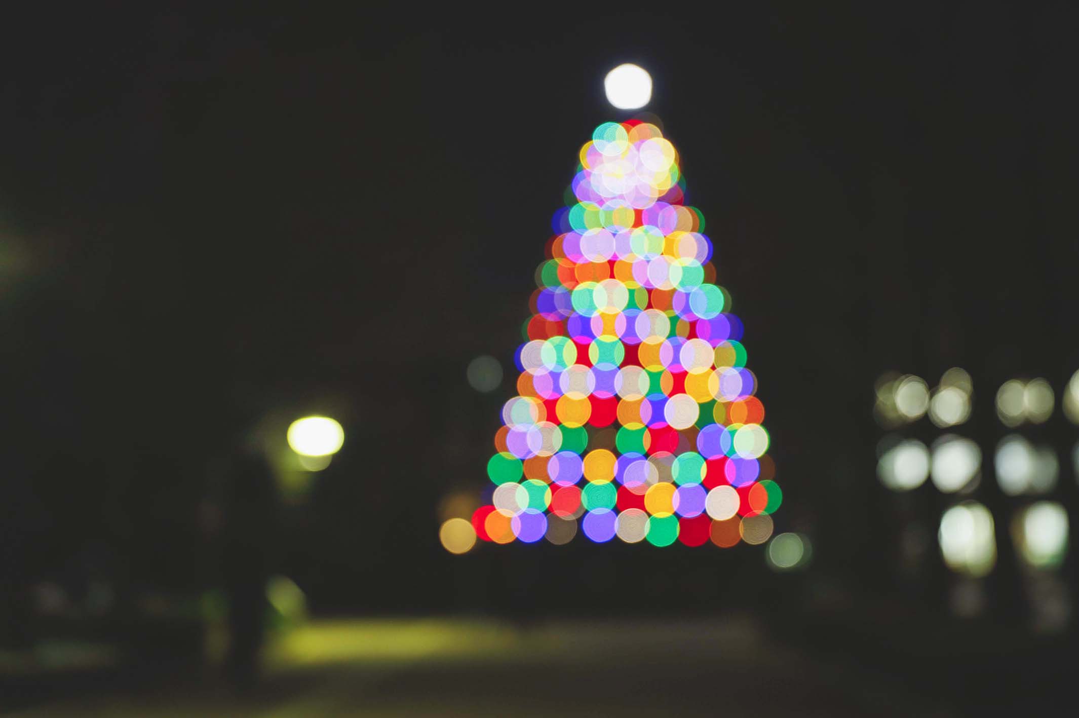 降誕を待ち望む礼拝 19青山学院クリスマス ツリー点火祭 青山学院大学